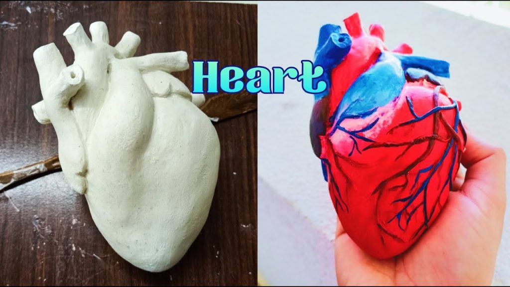 DIY heart model